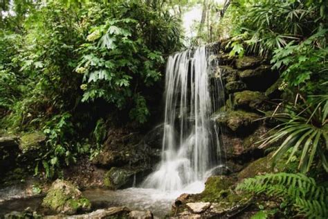 A Road Trip to See Waterfalls in Florida • Authentic Florida