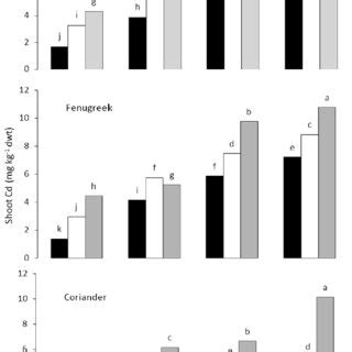 Dose And Time Dependent Effects Of Cd On Shoot Cd Concentration And Its