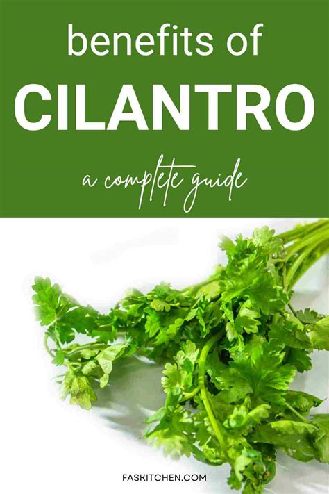 Cilantro 101 Nutrition Benefits How To Use Buy Store Fresh