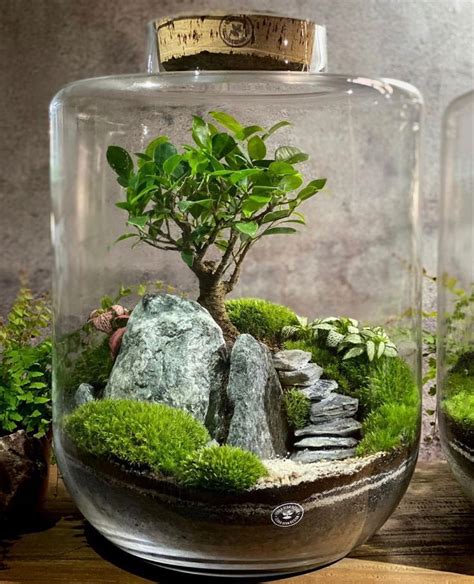 A Bonsai Tree In A Glass Jar Filled With Rocks And Moss On A Wooden Table