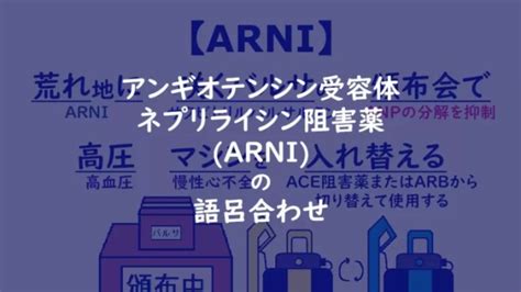 薬理学 ゴロ 神経筋接合部遮断薬 末梢性筋弛緩薬 の語呂合わせ ゴリ薬