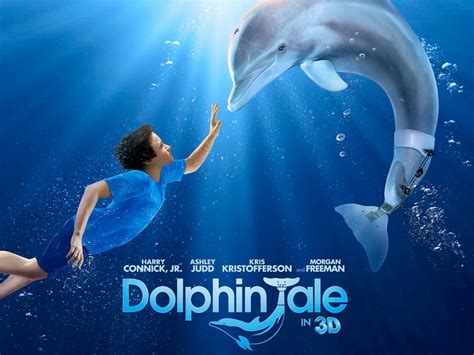 Dolphin Tale Review The Glimpse