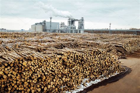 Almac N De Rboles Talados En La F Brica Las Chimeneas De Las F Bricas