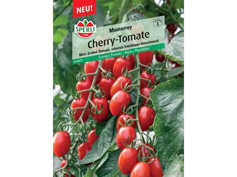 Sperli Cherrytomate Monterrey F1 Hybride Solanum Lycopersicum