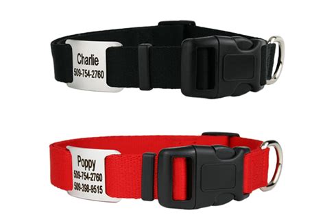 Dog Collars | Custom Options – GoTags