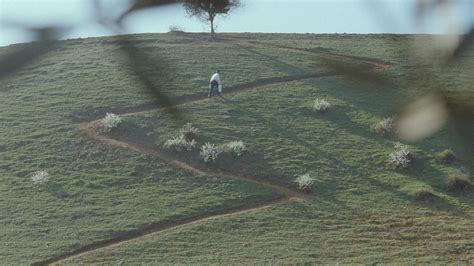 Janus Films Through The Olive Trees