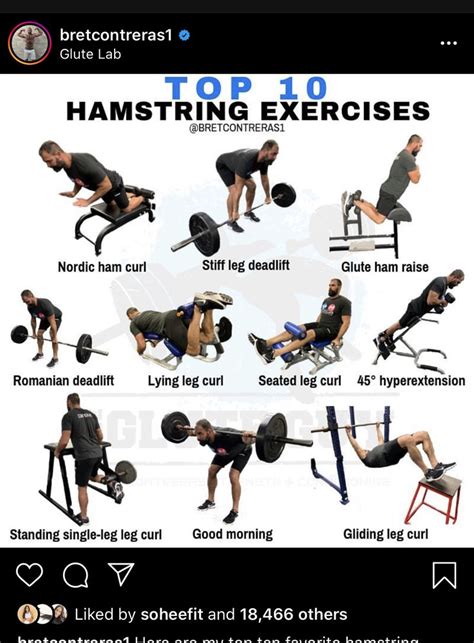 Hamstring Exercises nel 2024 | Esercizi fitness, Esercizi, Fitness