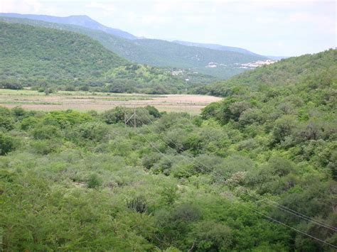 Carretera Vieja Rioverde A Slp Sierra De Lvarez M X Flickr