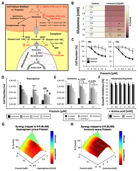 Prazosin Induced Lysosomal Tubulation Interferes With Cytokinesis And