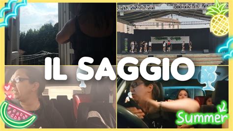 IL SAGGIO Della SCUOLA Di MAX Venite Con NOI VLOGMER 14 YouTube