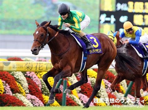 神戸新聞杯2024特集 歴史と概要｜競馬予想のウマニティ