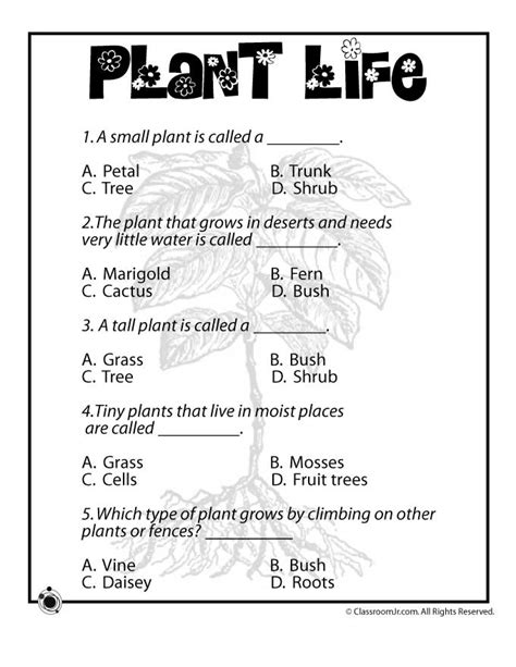 Life Cycle Of Plants Worksheet Grade 5