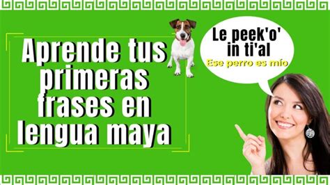 Frases en lengua maya Un vistazo a la riqueza lingüística de la