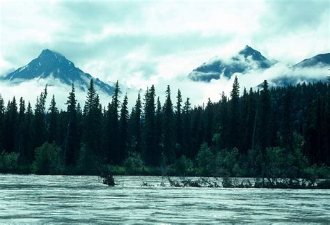 Tlikakila River Alaska Org