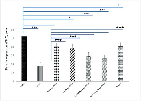 The P 2 X 4 Gene Expression Alterations In Methamphetamine Meth Rats