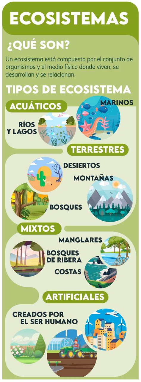 Beneficios De Conservar Ecosistemas Para El Bienestar Humano