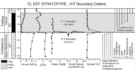 Kt Boundary Defining Criteria Based On The El Kef Stratotype The Kt