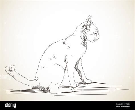 Dibujo De Gato Sentado En El Perfil Dibujo A Mano Ilustraci N Imagen