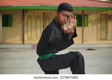 Warrior Fighter Pencak Silat Pagar Nusa Stock Photo 2278875885 ...