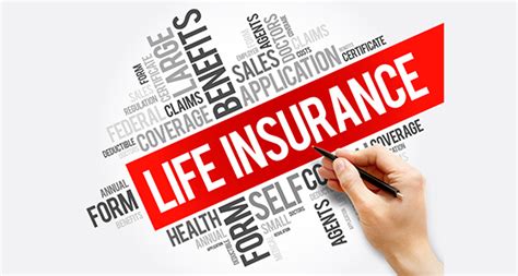 What Does Life Insurance Cover A Comprehensive Guide Discount Life Cover