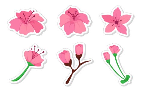 Cherry Blossom Sticker Set Vector Art At Vecteezy