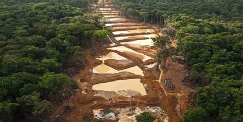 Sos Orinoco Denuncia La Gravedad Del Arco Minero Noticias