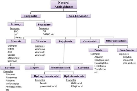 Antioxidants From Natural Sources Intechopen