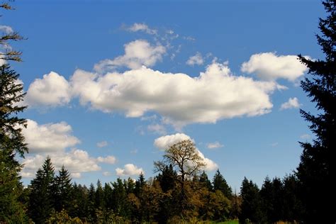 Nubes Cielo Azul Foto Gratis En Pixabay Pixabay