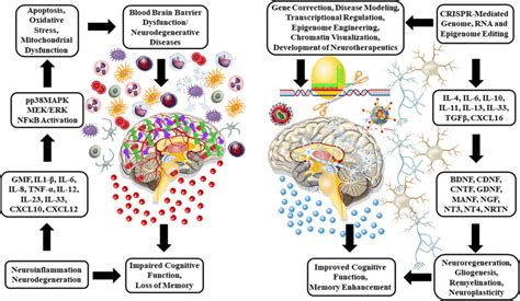 Crispr Mediated Genome Editing For Neurodegenerative Diseases