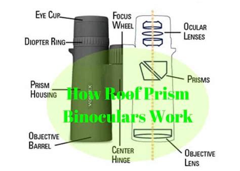 How Do Roof Prism Binoculars Work? - Binoculars Insights