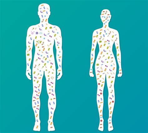 What Is The Microbiome And Why Do We Need It Bursttraining