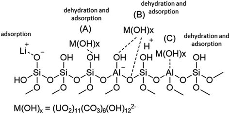 The chemical structure of the aluminosilicate model present on the fly... | Download Scientific ...