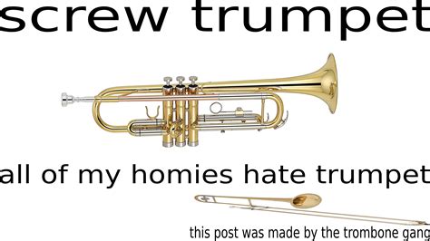 A Trumpet Meme That I Did In My Spare Time Rteenagers