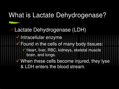 PPT - Lactate Dehydrogenase: pathophysiologic marker PowerPoint ...