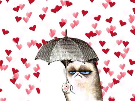 Grumpy Cat Grumpy Cat Valentines Grumpy Cat Valentines