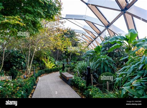 Pergola On The Wharf Theatre Crossrail Place Roof Garden Canary Wharf