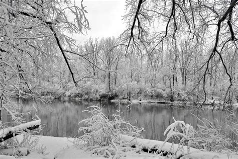 Bleak winter stock photo. Image of little, bleak, sometimes - 40668018