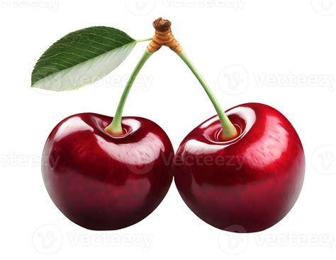 Illustration Of Two Cherries 43666544 Png