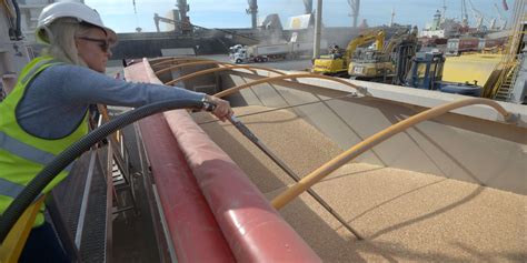 Australias Bumper Wheat Crop Faces Export Constraints WSJ