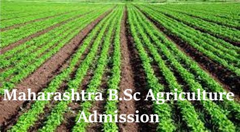 Maharashtra B Sc Agriculture Admission Mh Cet Application