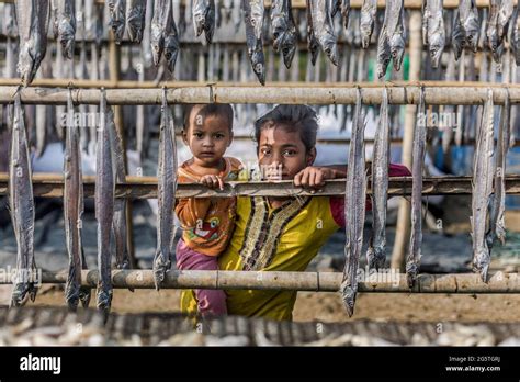 Bangladesh Chittagong Dry Fish Field On Karnaphuli River Bank