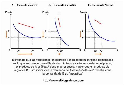 Elasticidad Mind Map