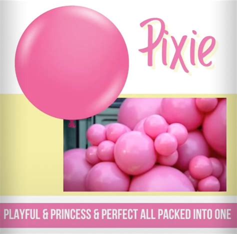 Pixie Pink Balloon Hot Pink Balloon Fuchsia Pink Balloon Bouquet Flamingo Party