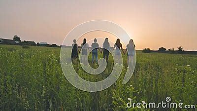 Girls Friends are Holding Hands at Sunset in the Field. Stock Footage ...