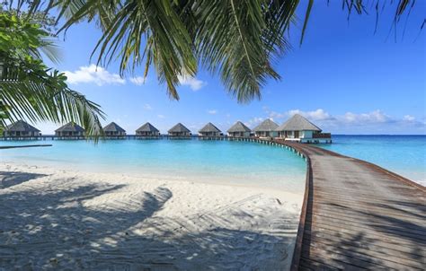 Premium Photo | Wooden bungalow on a tropical island maldives