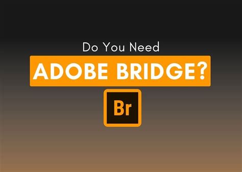 What Is Adobe Bridge Is It Right For You