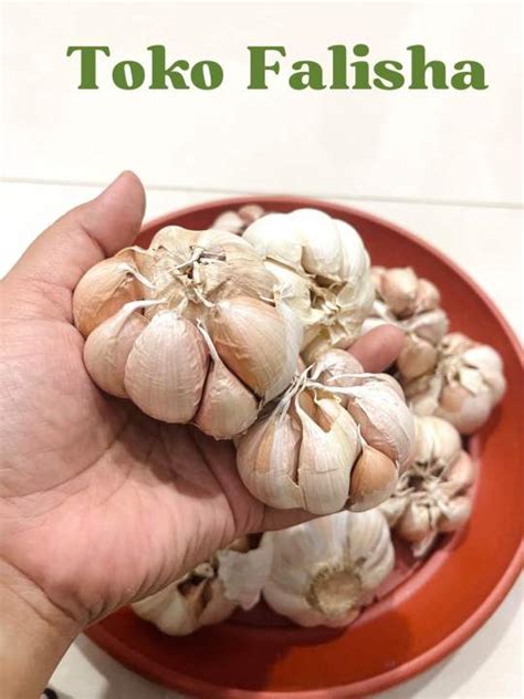 Bawang Putih Honan 1 Kg Lazada Indonesia