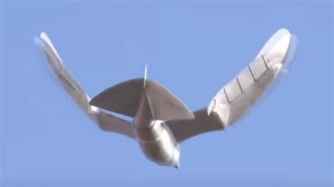 China takes surveillance to new level with drone birds