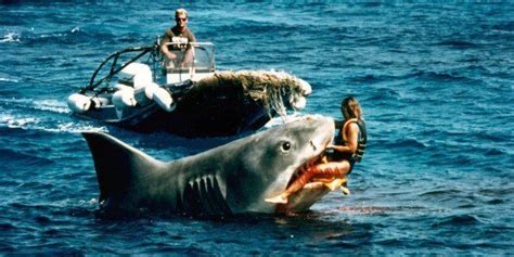 5 Things You Never Knew About 'Jaws' | HuffPost Entertainment