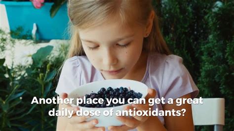 Sources Benefits Of Antioxidants Youtube